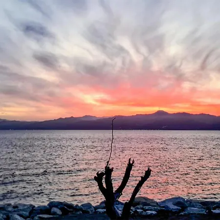 Apartment 1 Bedroom Stunning In